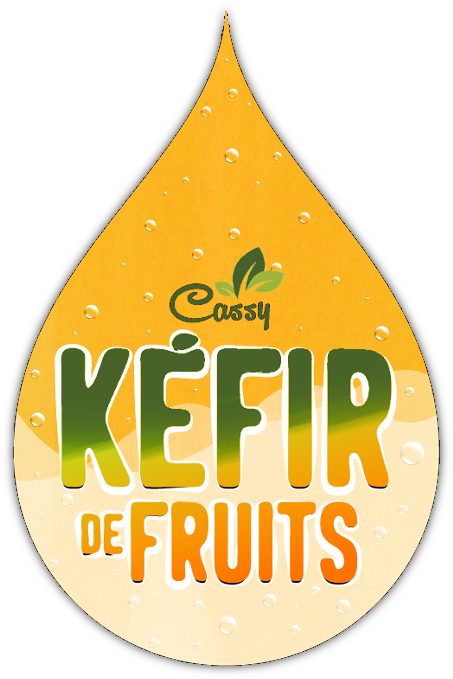 Logo Kefir